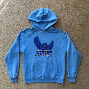 Southern Connecticut Sweatshirt Mens Medium Hoodie Pullover Champion Owls